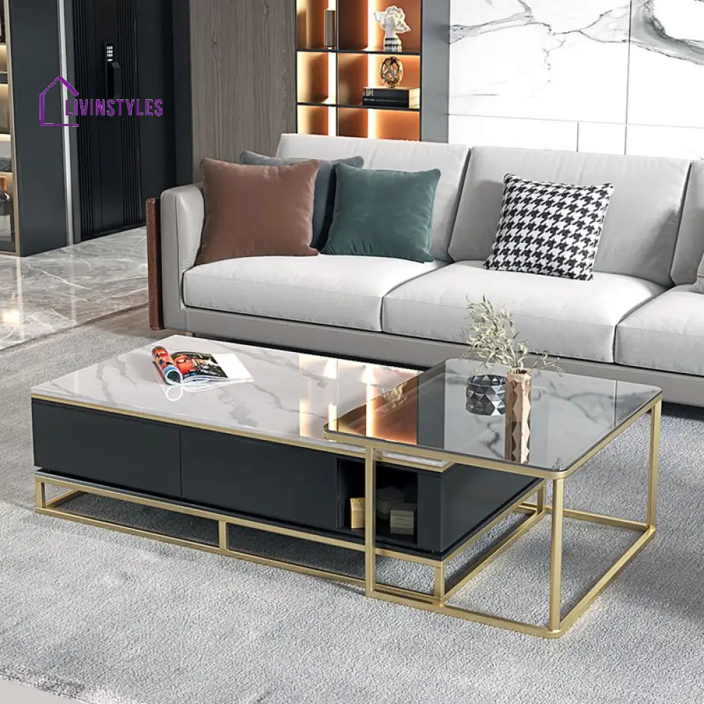 Vanya Stainless Steel Frame with Marble Top and Glass Top Coffee Table Set for Living Room