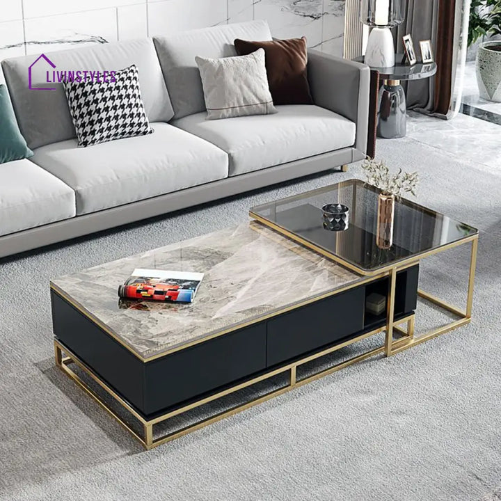 Vanya Stainless Steel Frame with Marble Top and Glass Top Coffee Table Set for Living Room