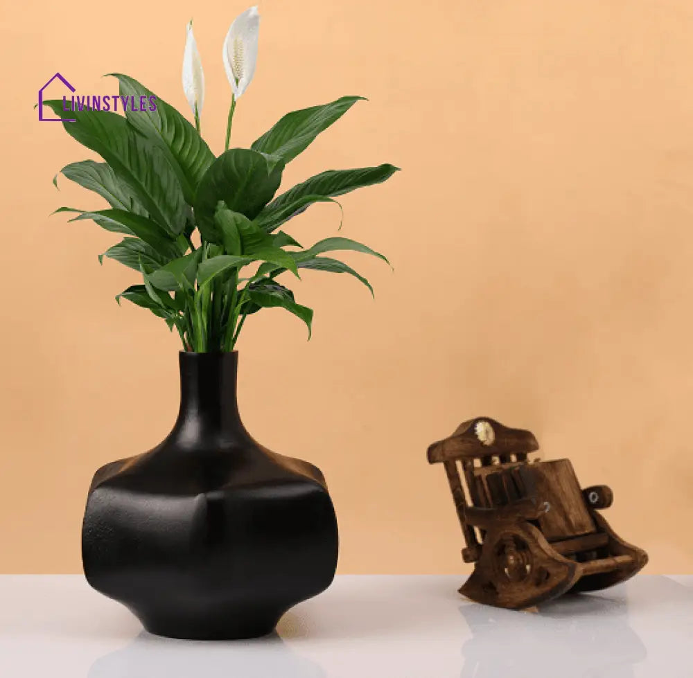 Verdant Metal Black Vase