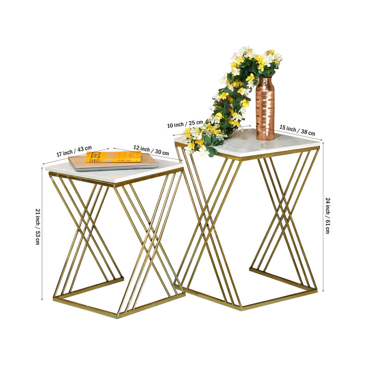 White Marble Golden Iron Stand Side Coffee Table Set of 2