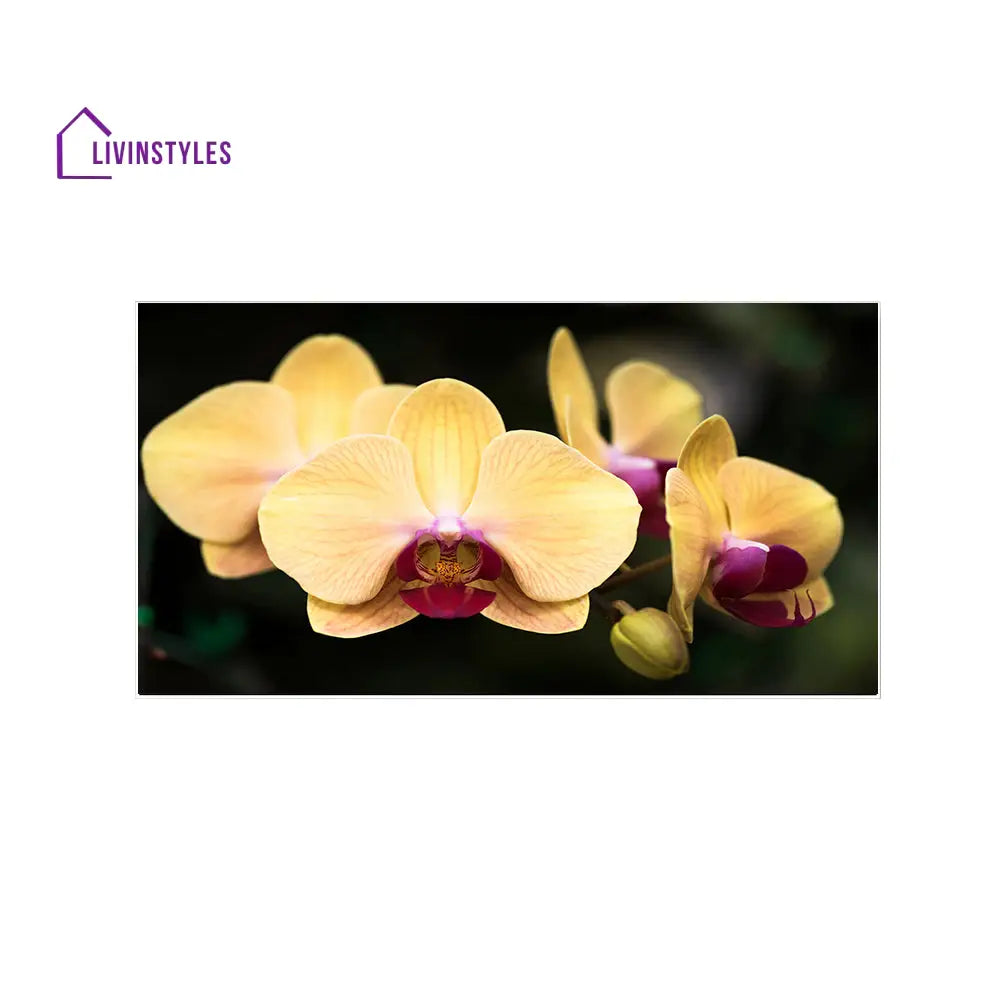 Vibrant Yellow Orchids Wall Art Painting