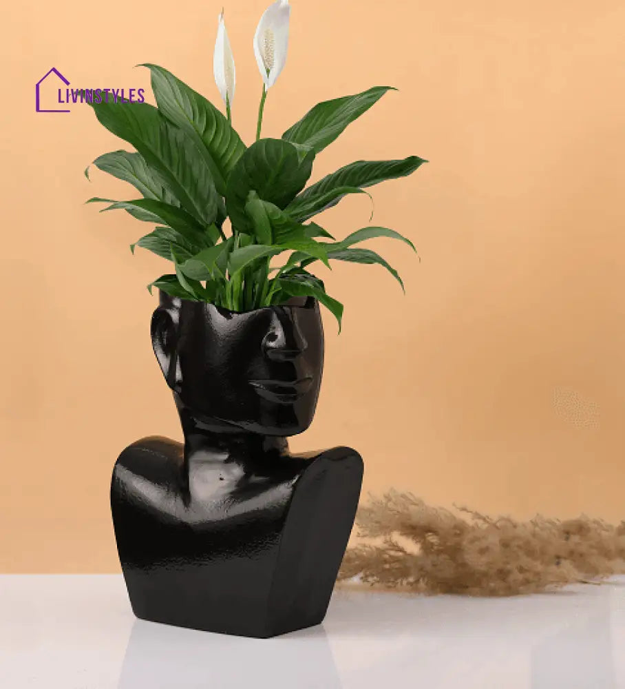 Visionary Face Glossy Black Planter